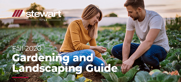 Fall Season Gardening and Landscaping Guide