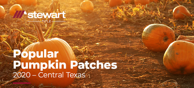 Popular Central Texas Pumpkin Patches